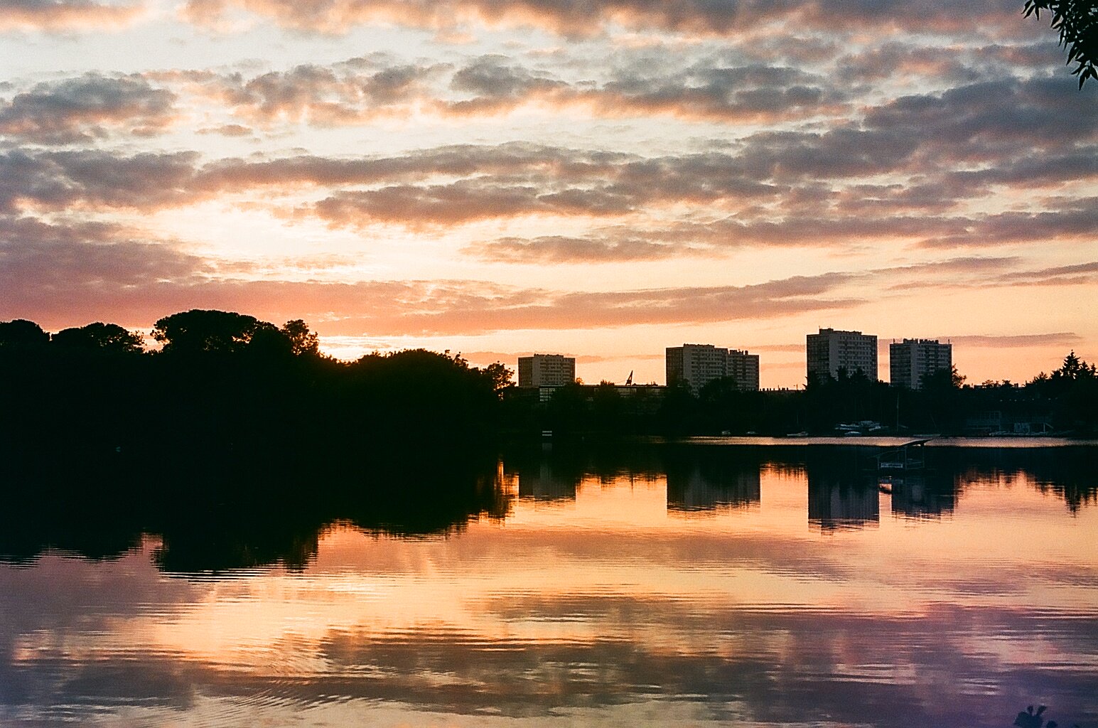 Rives du Cher à Tours
