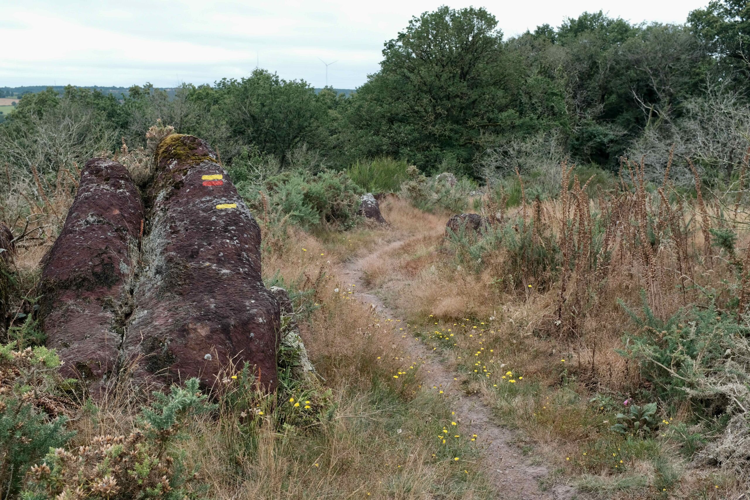 Balisage du GRP Tour de Brocéliande